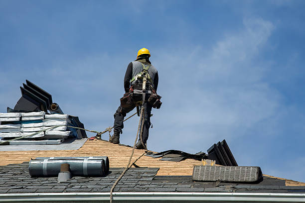 Professional Storm Damage Roof Repair technician working in Holcomb, KS